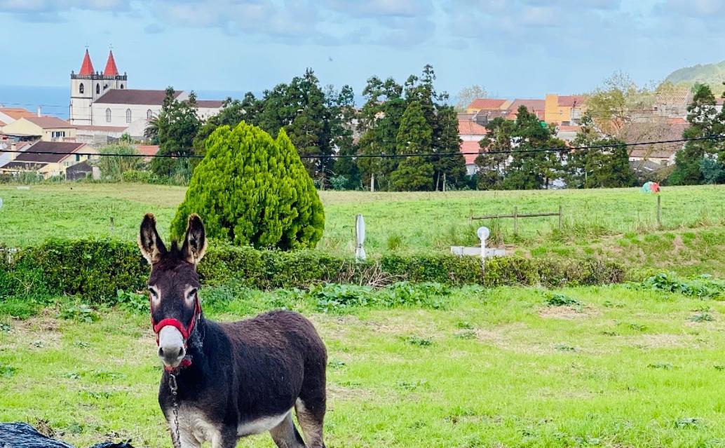 Quinta Do Avo Dimas - Rural Home - Sao Bras Porto Formoso Exteriér fotografie