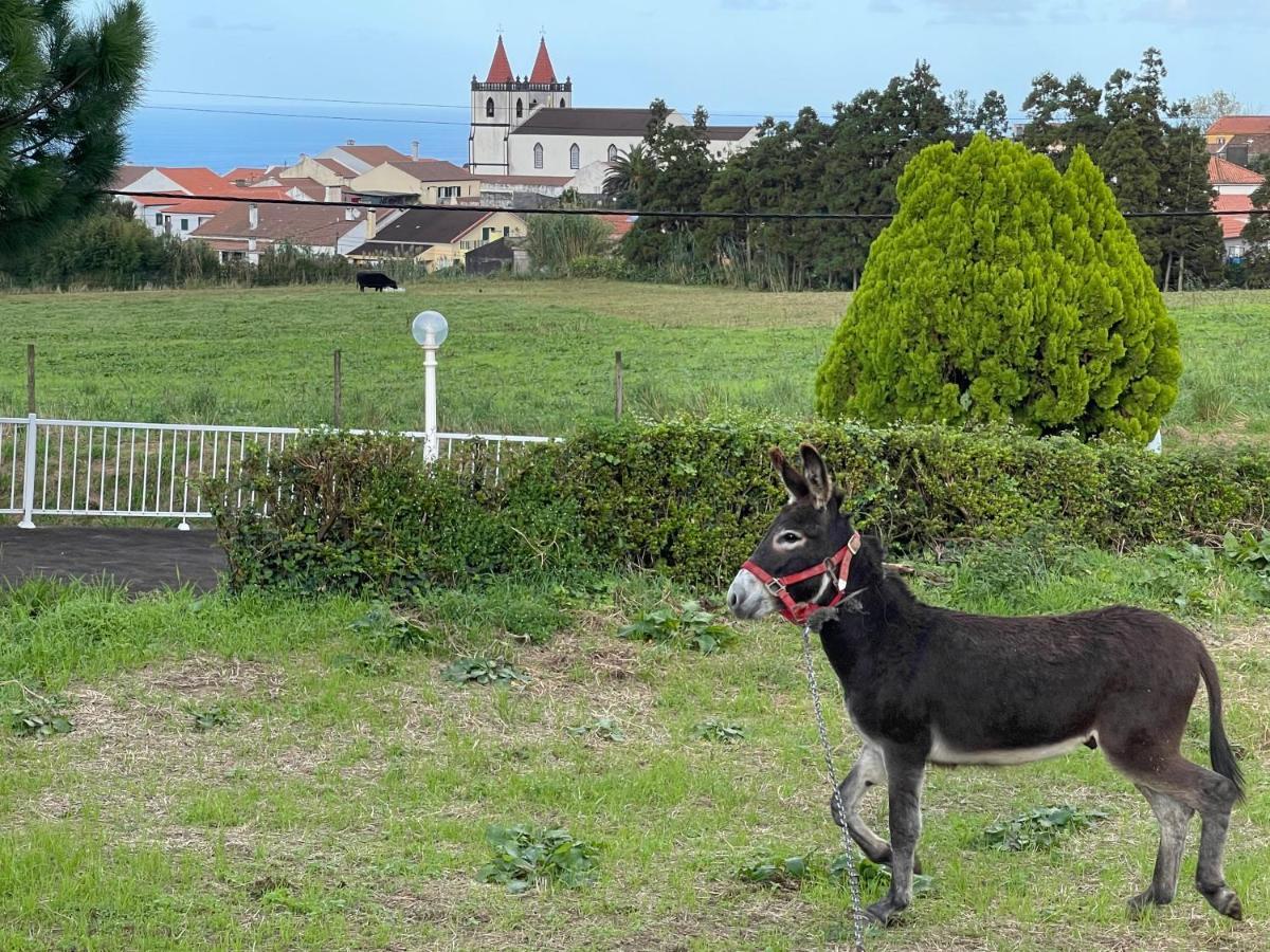 Quinta Do Avo Dimas - Rural Home - Sao Bras Porto Formoso Exteriér fotografie